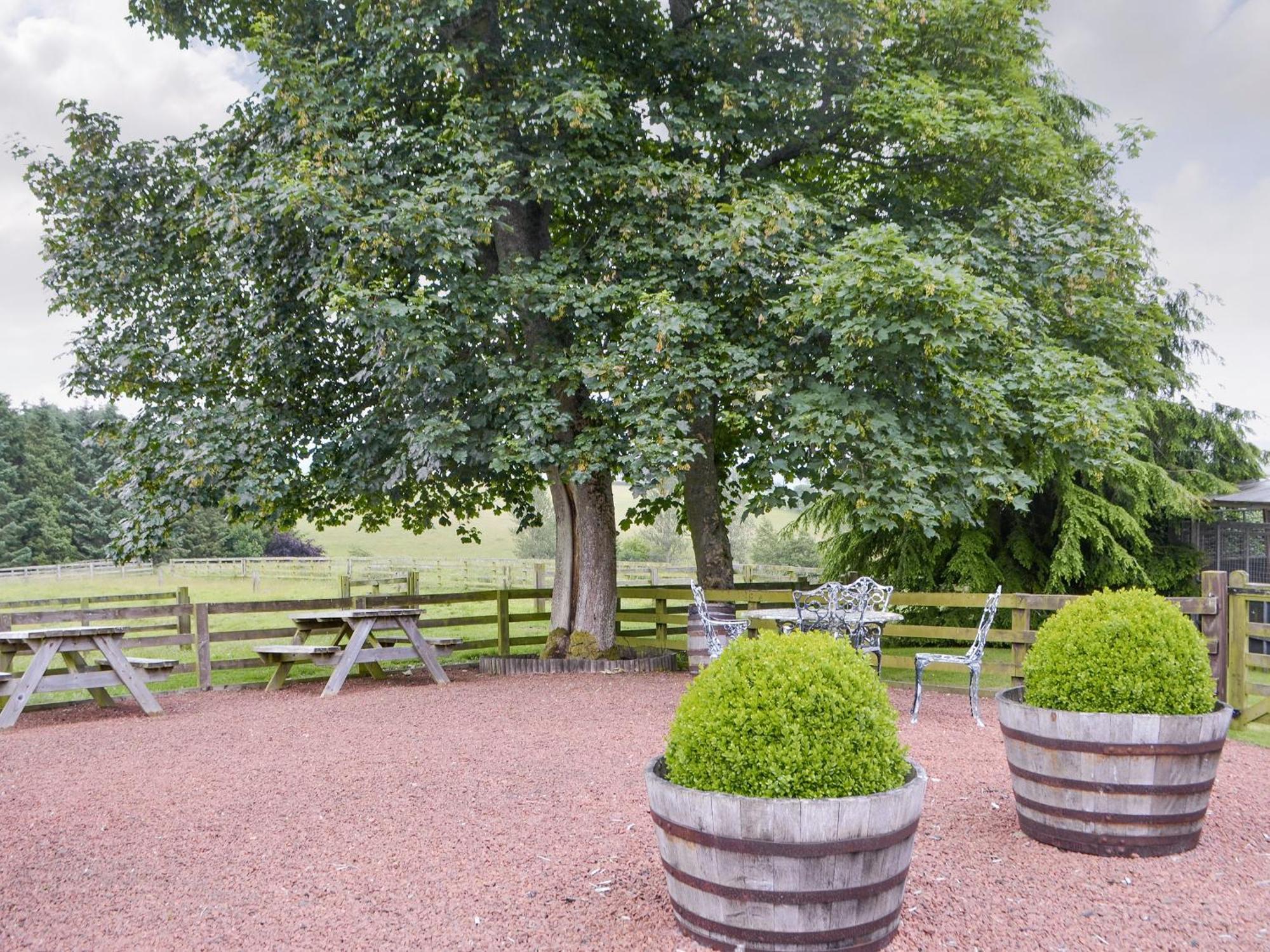 Grooms Cottage Elsdon Exterior foto